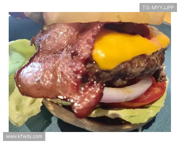 汉堡俱乐部：探索全球最受欢迎汉堡的独特风味与文化背后的故事